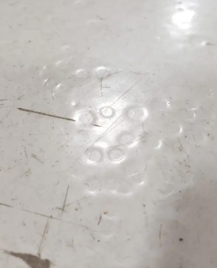 Avretting.no Fiskeøye